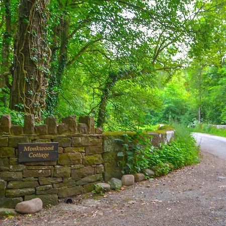 Monkwood Haile