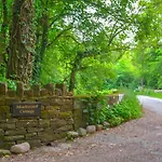 Monkwood Haile